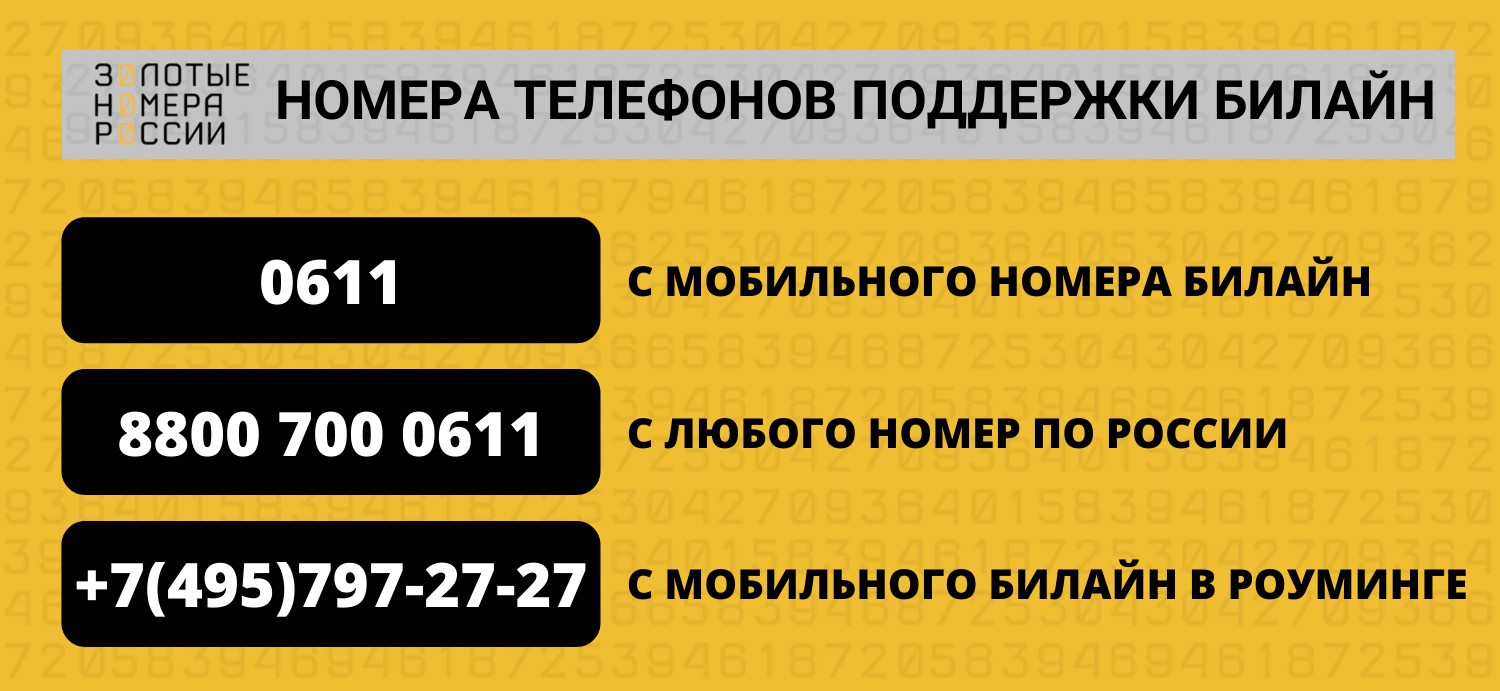 Номера телефонов поддержки оператора билайн