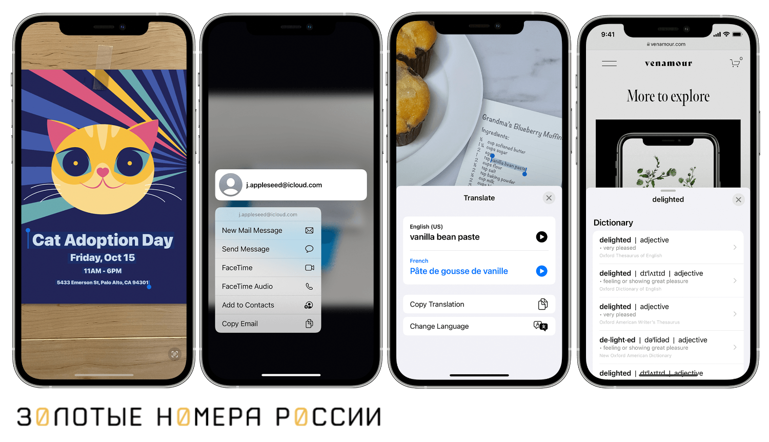 Как скопировать текст с фото на телефонах iPhone и Android - ТопНомер.ру