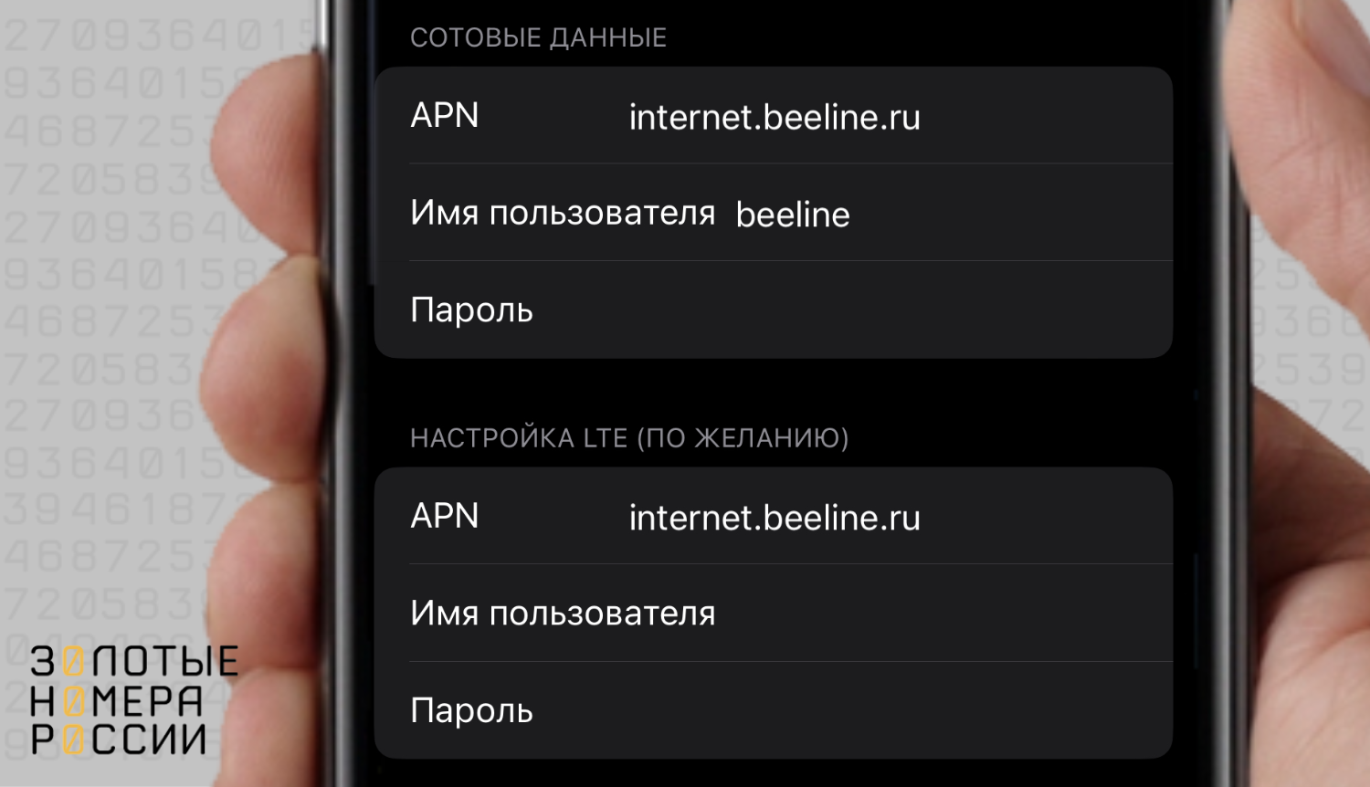 Как раздать Wi-Fi на iPhone 5, 5s, 6: два простых шага без воды