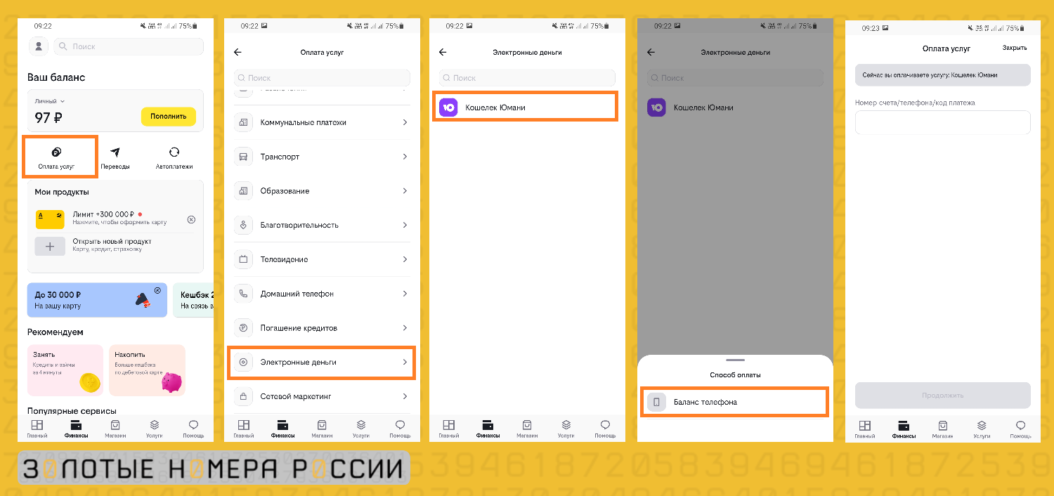 Как перевести деньги с мобильного на электронные кошельки - подробная  инструкция 2024 года - ТопНомер.ру