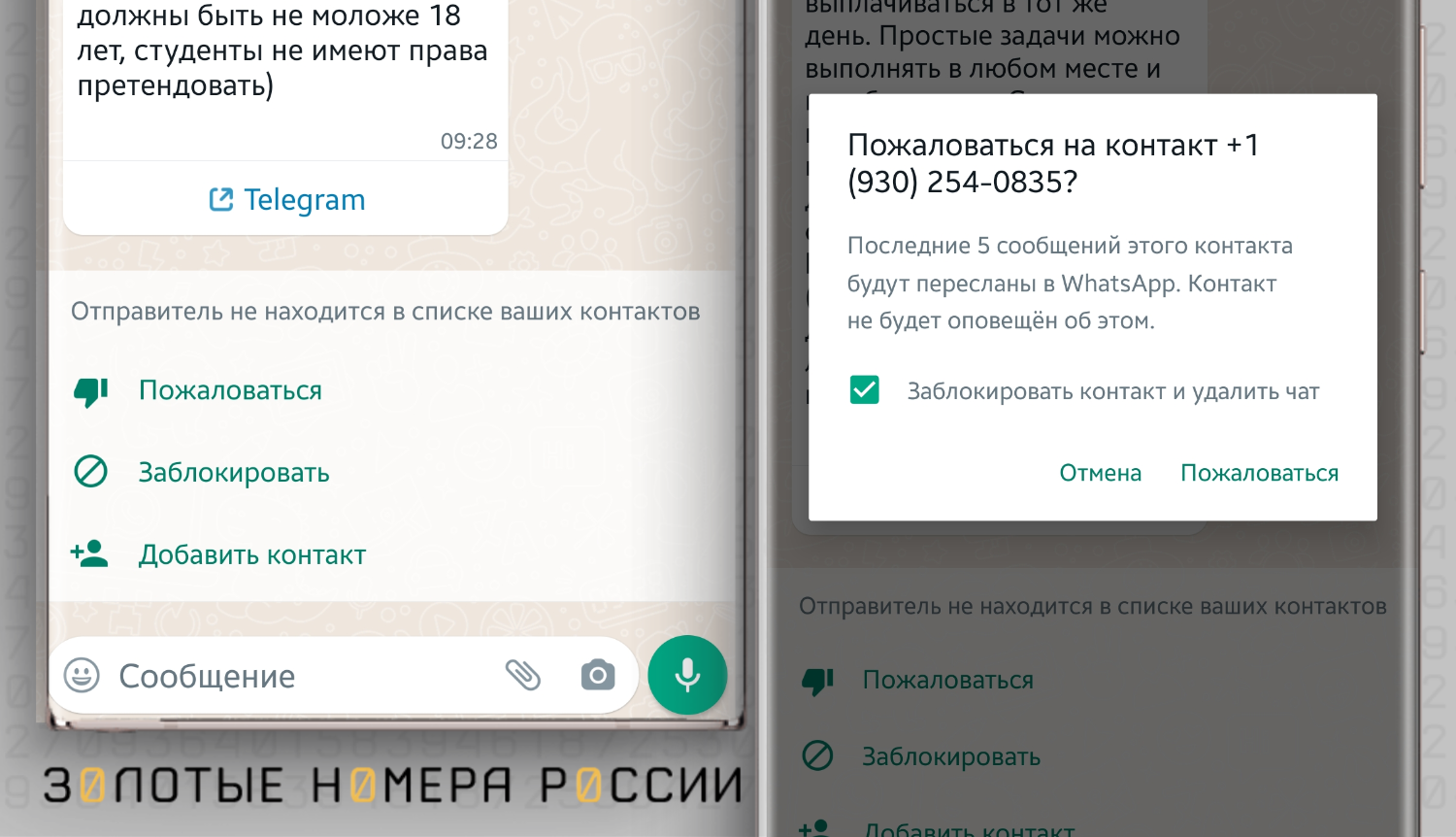 Как пожаловаться на контакт в WhatsApp