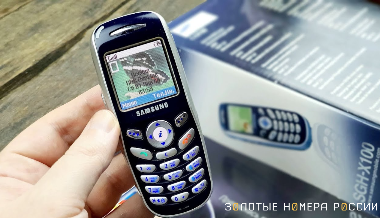 Мобильный телефон Samsung SGH-X100